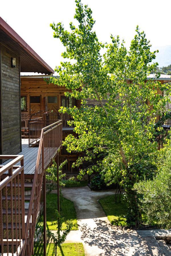 Olimpia Hotel Olympos Ngoại thất bức ảnh